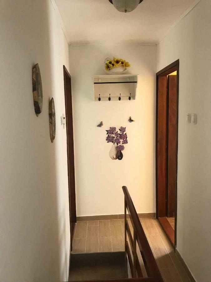 Apartma Evi Zaga Dış mekan fotoğraf