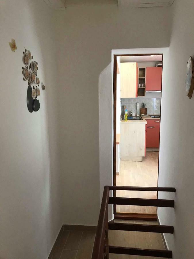 Apartma Evi Zaga Dış mekan fotoğraf