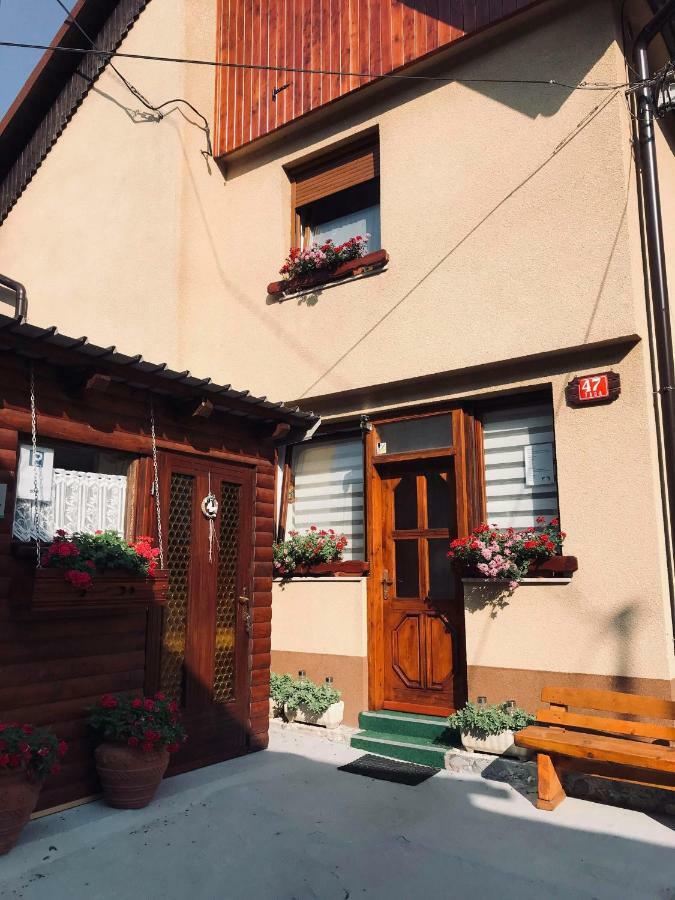 Apartma Evi Zaga Dış mekan fotoğraf