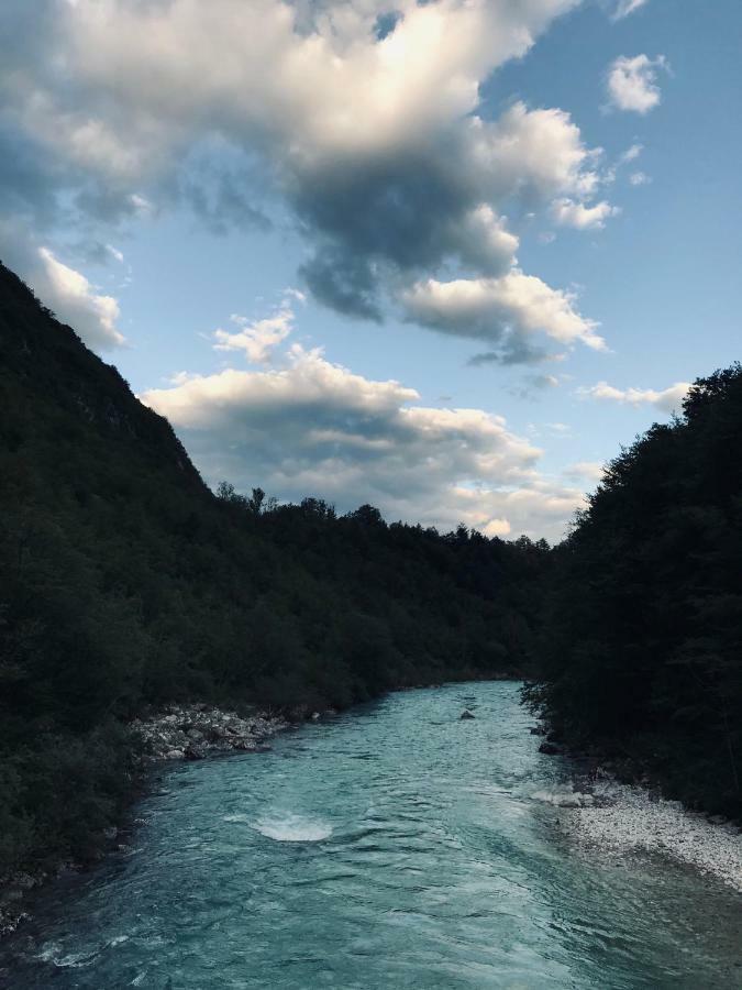 Apartma Evi Zaga Dış mekan fotoğraf
